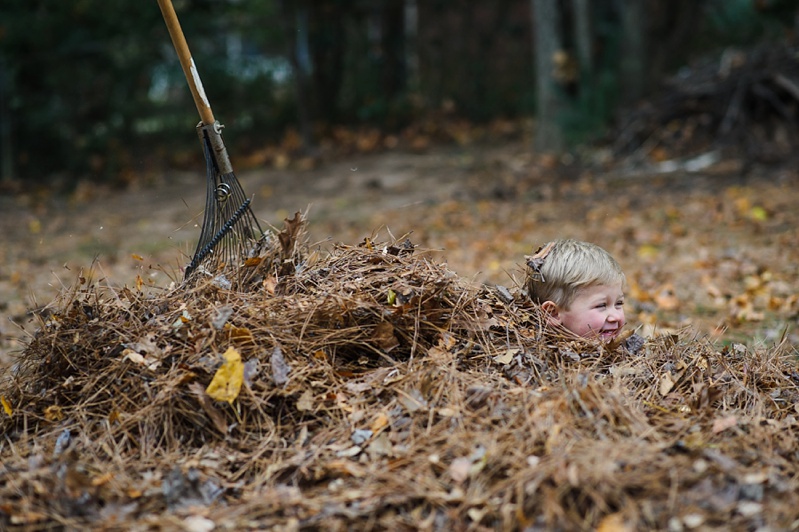 family photos with leaves